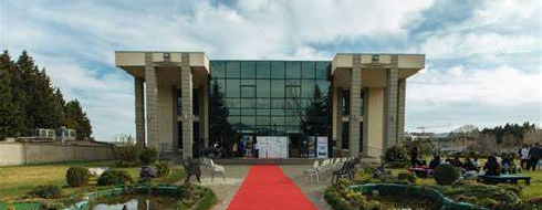 Grigol Robakidze University